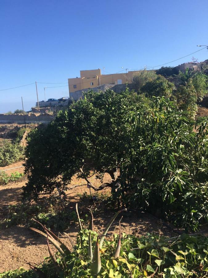 Green Village. Tony Frias. Fasnia Dış mekan fotoğraf